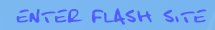 Enter Flash Site